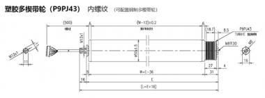 電動輥筒 塑膠多楔帶輪（P9PJ43） 內螺紋 （可配置鋼制多楔